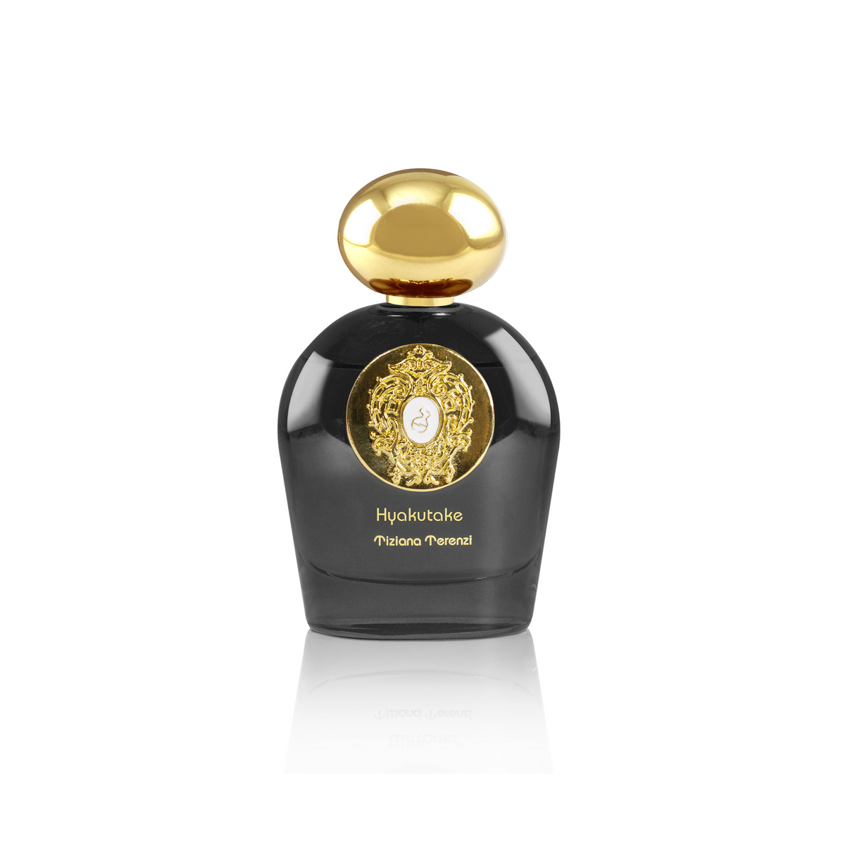 Tiziana Terenzi Hyakutake Extrait de Parfum 100 ml - Unisex